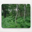 Recherche de bouleau tapis souris Forêt