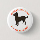 Search for dog training buttons Service