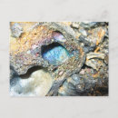 Search for hawaii postcards Park