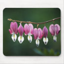 Search for bleeding heart mousepads For her