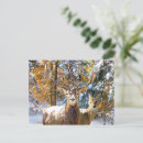 Recherche de cerf cartes postales Peintures