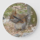 Search for squirrel clocks Nature