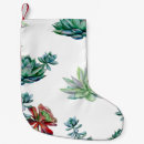 Search for succulent christmas stockings Cacti