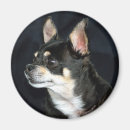Search for purebreed Cute