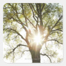 Recherche de éclairé autocollants Paysage