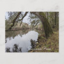 Search for suwannee River