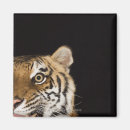 Recherche de extrem magnete Nature