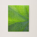 Recherche de veine puzzles Nature