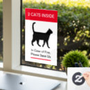 Recherche de chat domestique Cats