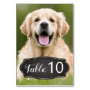 Search for dog wedding table cards Unique