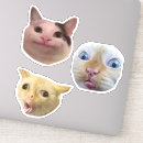 Search for petlover stickers Catmom