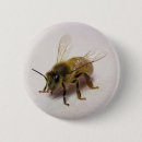 Search for beekeeper buttons Nature