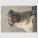 Search for pug tissue paper Decoupage
