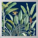 Recherche de banana posters Orange