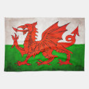Search for red dragon Flag