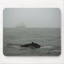 Search for humpback mousepads Whale