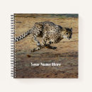 Search for wildlife notebooks Cheetah