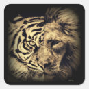 Search for tiger king stickers Lion