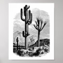 Search for cactus drawing art Illustration