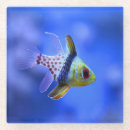 Search for tank coasters Aquarium