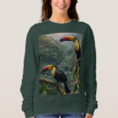 Recherche de deux oiseaux vêtements Coloré
