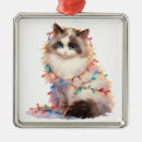 Search for snowshoe ornaments Cute
