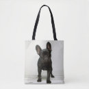 Search for studio shot bags Puppy