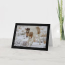 Search for equine christmas cards Foal