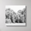 Search for willow tree canvas prints Weeping willows