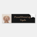 Search for hungarian bumper stickers Dog