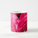 Search for pink camellia mugs Pretty