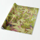 Recherche de japonais papier cadeau Vert