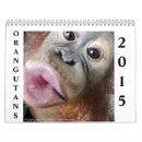 Search for orangutan calendars Primate