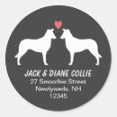 Search for collie dog stickers Animals