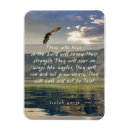 Search for 31 magnets Eagle