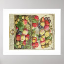 Recherche de douze mois posters Fruit