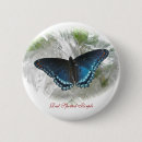 Search for butterfly red buttons Insect