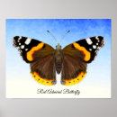 Recherche de peinture papillon posters Insecte