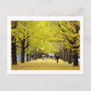 Recherche de ginkgo cartes postales Feuille
