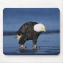 Search for walked mousepads Male