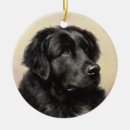 Search for newfoundland dog ornaments Animal