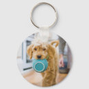 Search for goldendoodle keychains Animal
