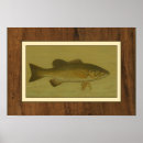 Search for black background posters Swimming