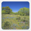 Search for texas hill country stickers Tranquil
