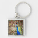 Search for display keychains Animal