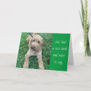 Search for stopping cards Adult