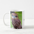 Search for birds of prey mugs Nature