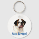 Recherche de st bernard porteclés Saint