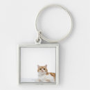 Search for fold keychains Animal
