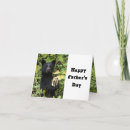 Search for papa bear cards Animal